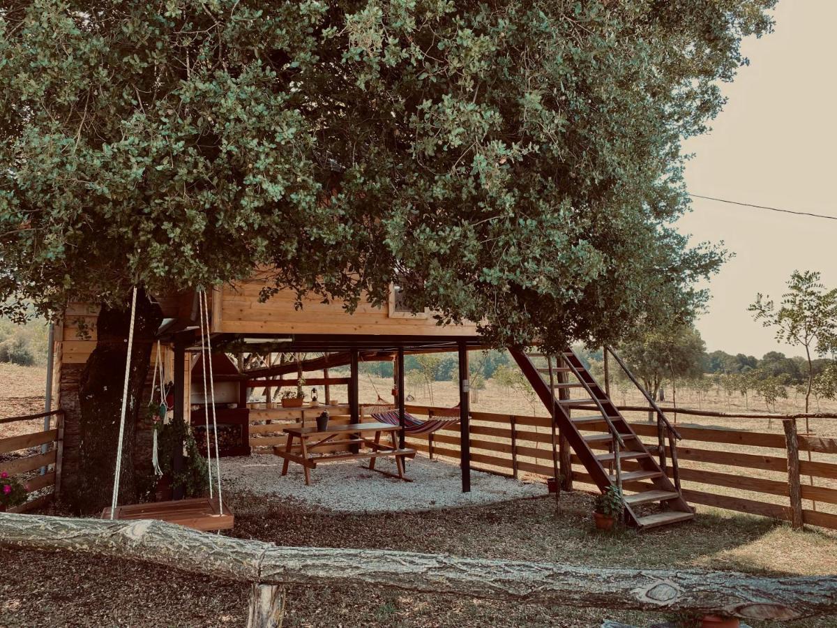 The Treevilla Ioannina Extérieur photo